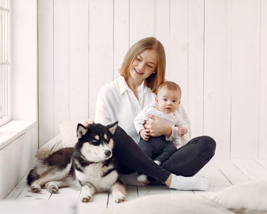 Як безпечно познайомити собаку з немовлям?